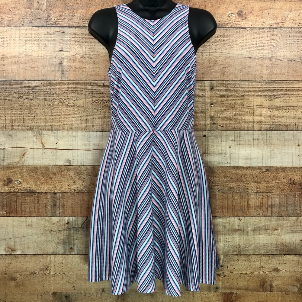 Prince & Fox • Multicolored Striped Skater Dress